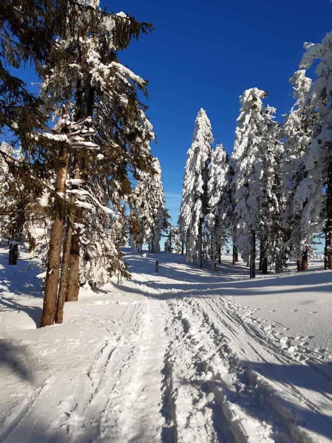 Chata Goralska Wojtasowka Kamesznica Экстерьер фото