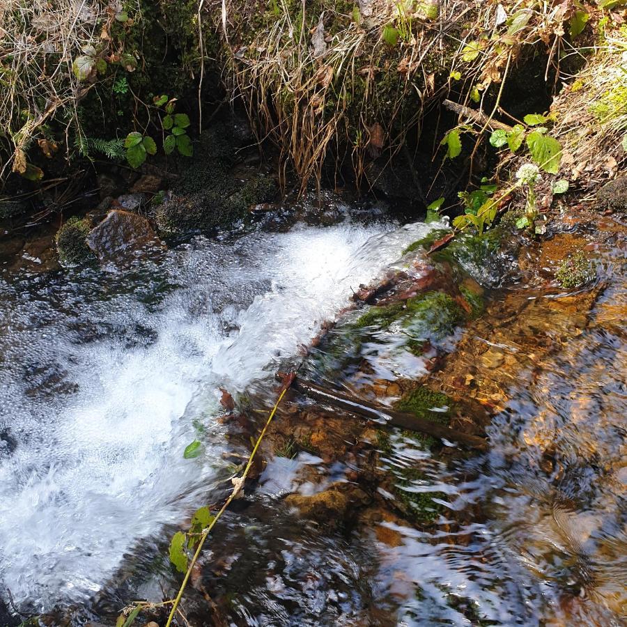 Chata Goralska Wojtasowka Kamesznica Экстерьер фото