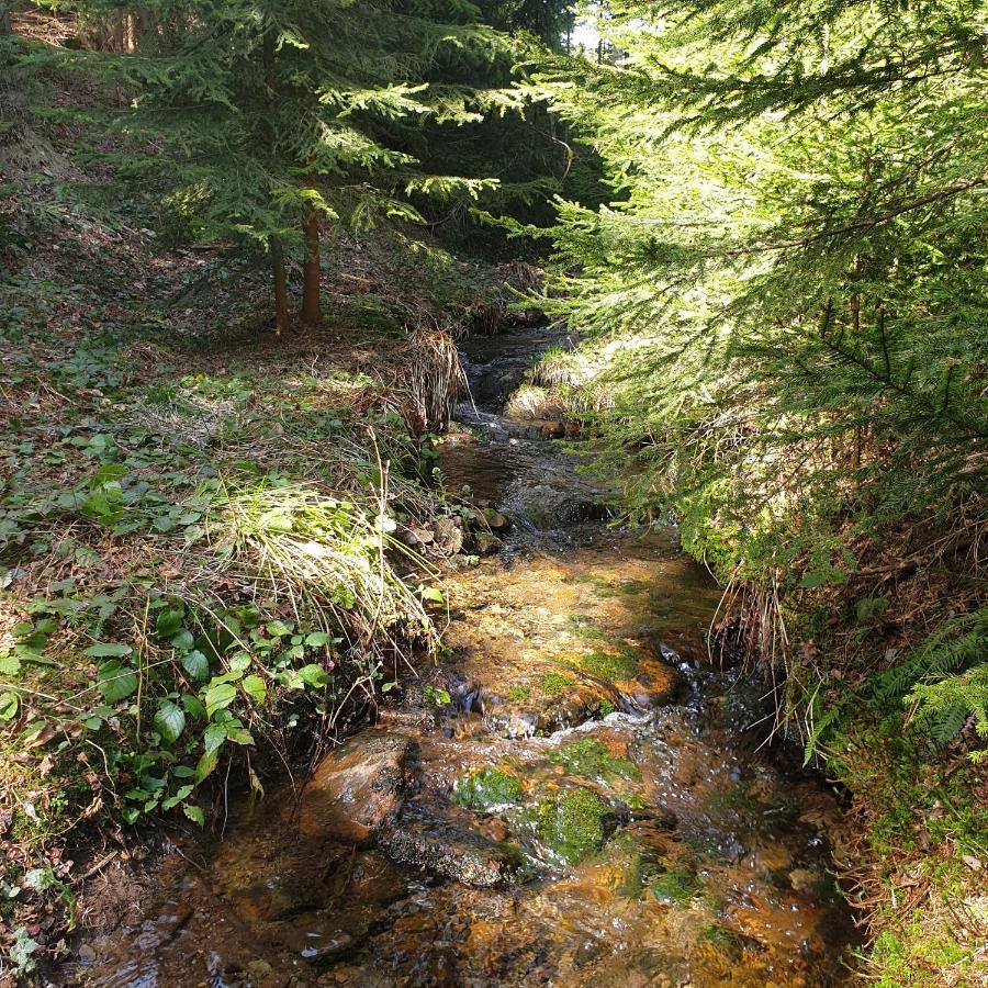 Chata Goralska Wojtasowka Kamesznica Экстерьер фото