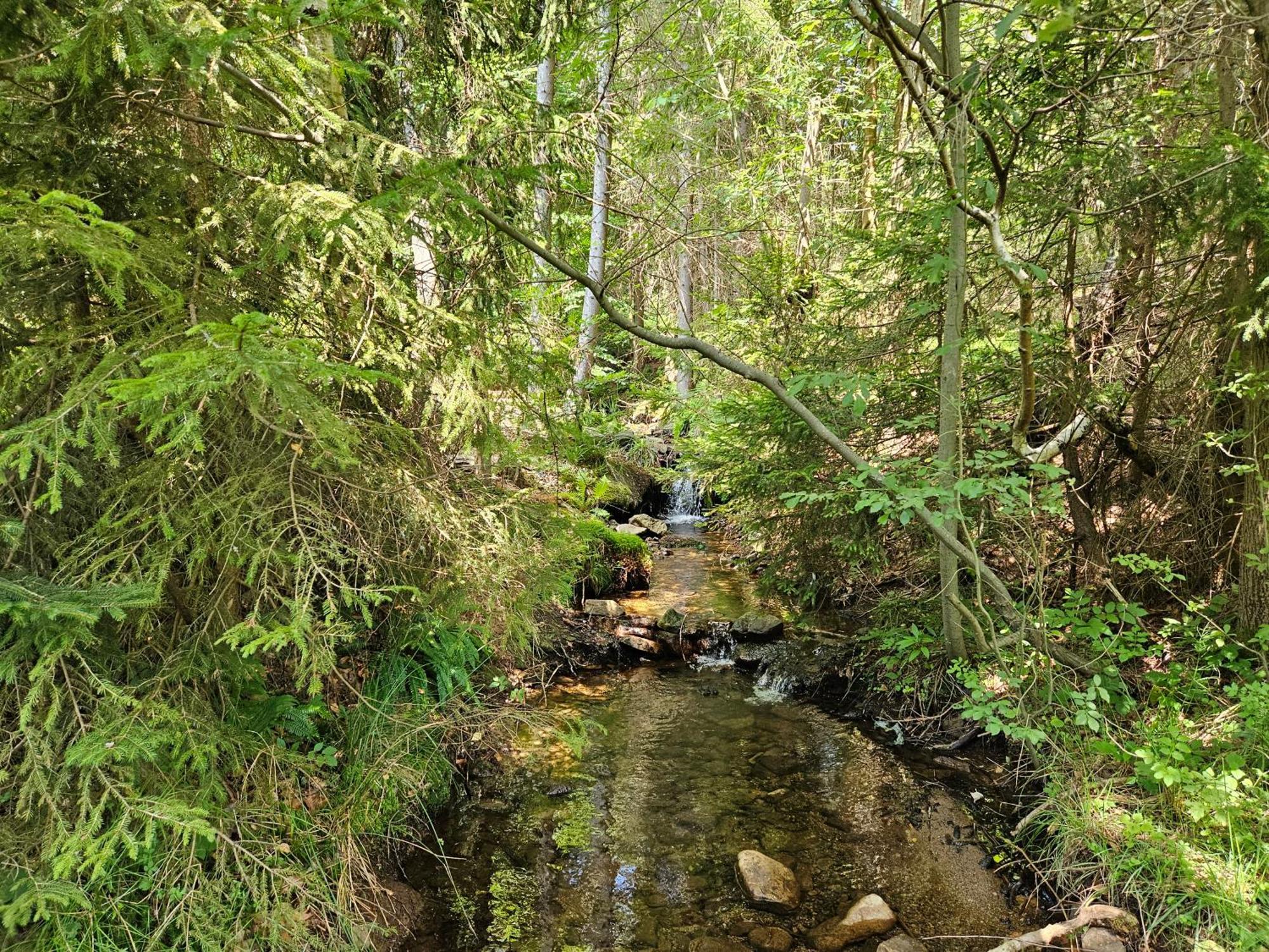 Chata Goralska Wojtasowka Kamesznica Экстерьер фото