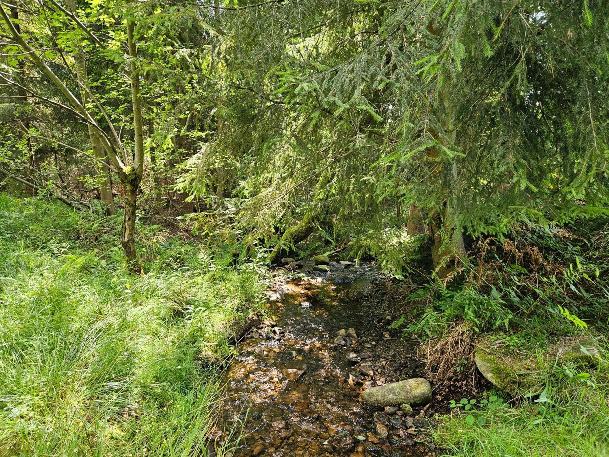 Chata Goralska Wojtasowka Kamesznica Экстерьер фото