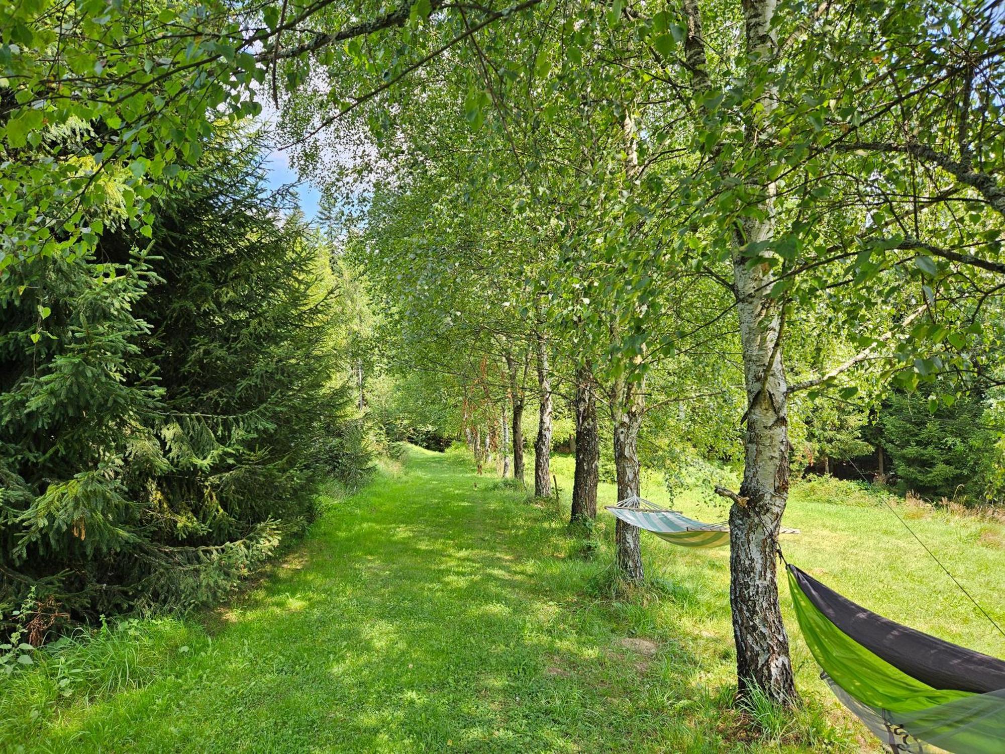Chata Goralska Wojtasowka Kamesznica Экстерьер фото