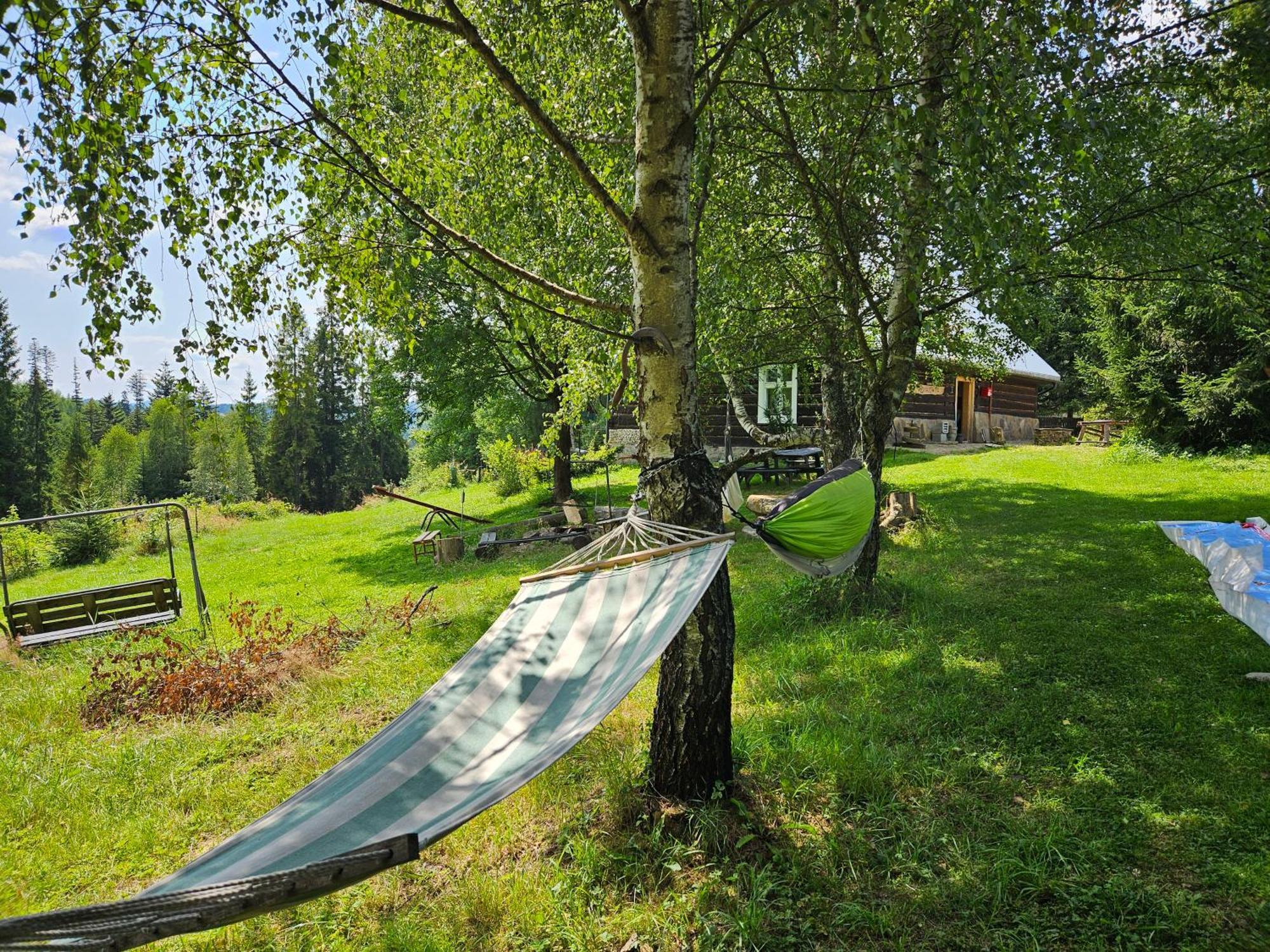 Chata Goralska Wojtasowka Kamesznica Экстерьер фото