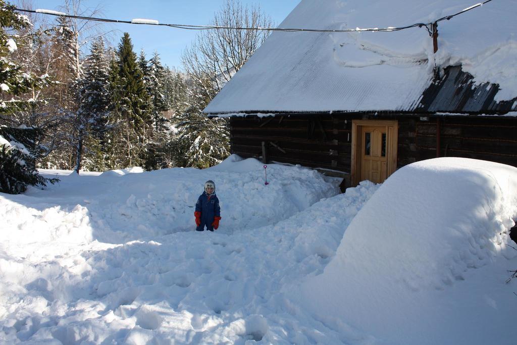 Chata Goralska Wojtasowka Kamesznica Экстерьер фото